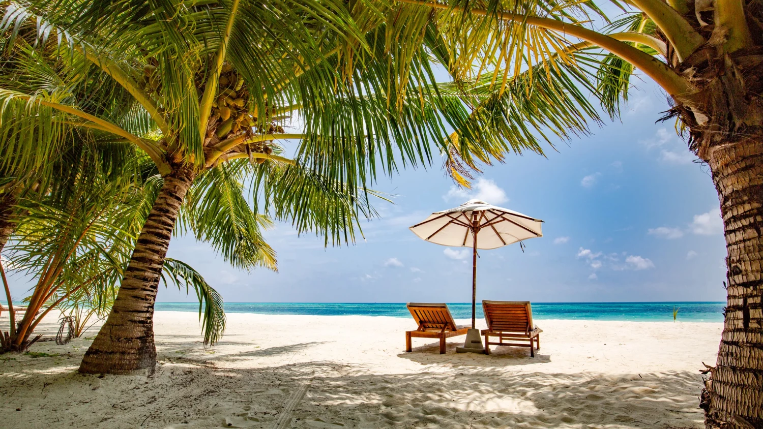 Outdoor Recreation Shop -Outdoor Recreation Shop 3